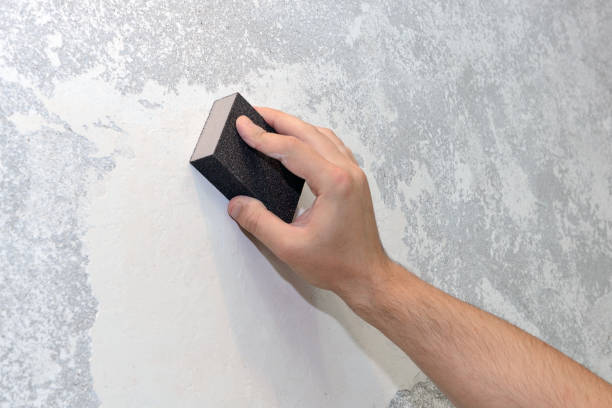 Best Mold Remediation for Healthcare Facilities  in Roselawn, IN