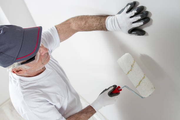 Best Mold Damage Restoration  in Roselawn, IN