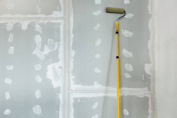 Best Mold Remediation for Vacation Homes  in Roselawn, IN