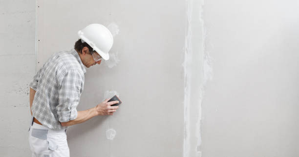 Best Mold-Related Health Consultation  in Roselawn, IN