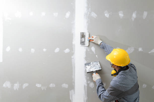 Best Environmental Consulting for Mold Prevention  in Roselawn, IN