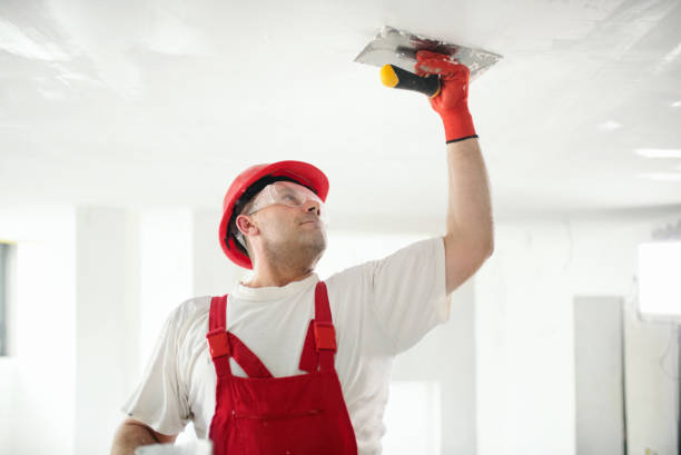 Best Air Quality Testing for Mold Spores  in Roselawn, IN