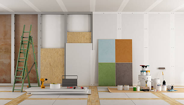 Best Black Mold Removal  in Roselawn, IN