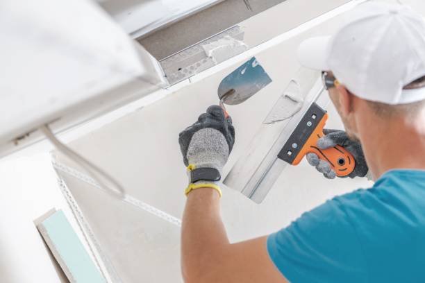 Mold Documentation for Insurance Claims in Roselawn, IN